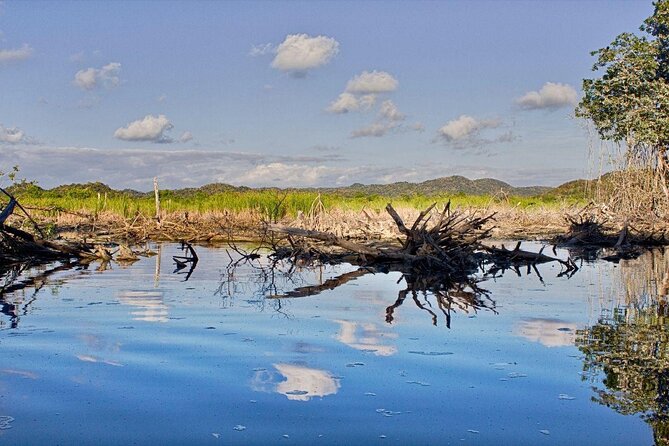 4-in-1 Tour - Mazunte,Cacao Factory, La Ventanilla & Turtle Spawn - Comfortable Transportation and Expert Guides