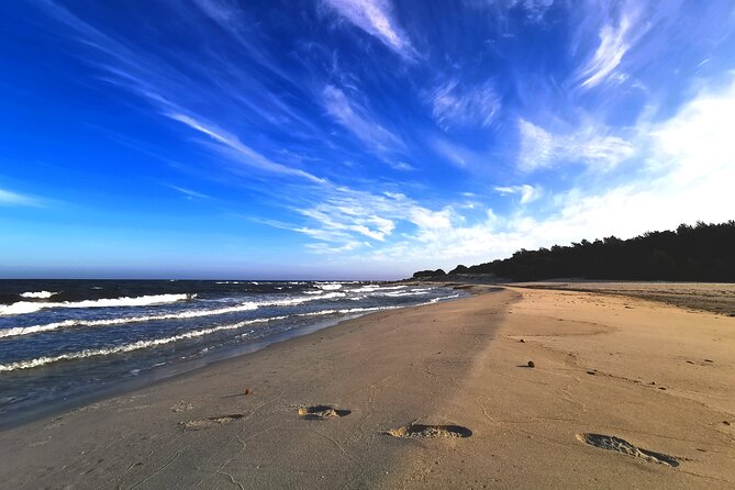 4 × 4 excursion to the beaches of Biderosa and Capo Comino - Discovering the Biderosa Oasis: Sardinia’s Hidden Green Sanctuary