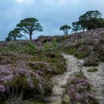 4,000ft Mountain Hike in the Scottish Highlands - From Edinburgh to the Scottish Wilderness by Train