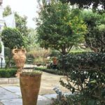 45 minute Highlights of the Garden District - The Tours Brief, Impactful Itinerary