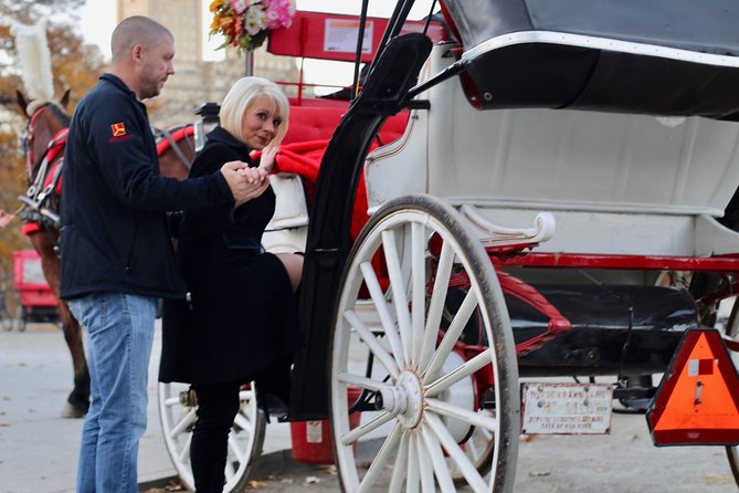 45 Minute VIP Central Park Carriage Ride - Central Park’s Lower Loop: A Scenic Tour Starting Point