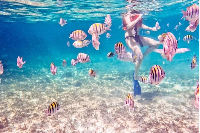 4H Luxury 44' Catamaran All-Inclusive in Tulum & Playa del Carmen - Departure Point and Group Details