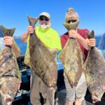 4HR Ketchikan Halibut Hunt Fishing Excursion & Wildlife Viewing - Wildlife and Whale Watching Highlights