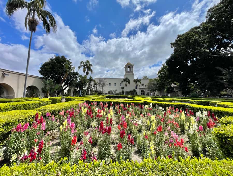 5 1/2 Hour Private Tour of San Diego in a Lexus ES300H - Exploring the Iconic Hotel del Coronado