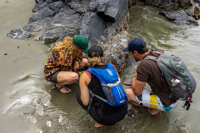 5-Day Adventure Tour in Vancouver Island Exploration - Day 2: Victoria’s Natural and Cultural Highlights