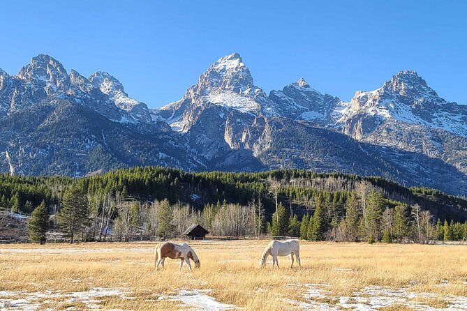 5-day In-Depth Yellowstone and Grand Teton National Park Tour - Highlights of Yellowstone’s Central and Southern Regions