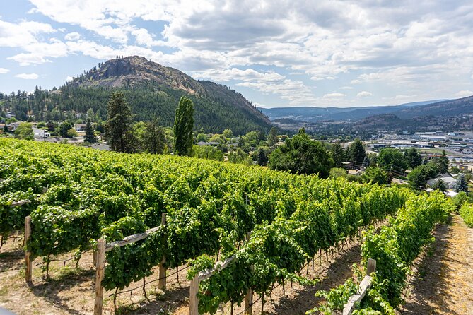 5 Day Okanagan Wine Tour by Minibus - Moving North to Kelowna via Scenic Communities