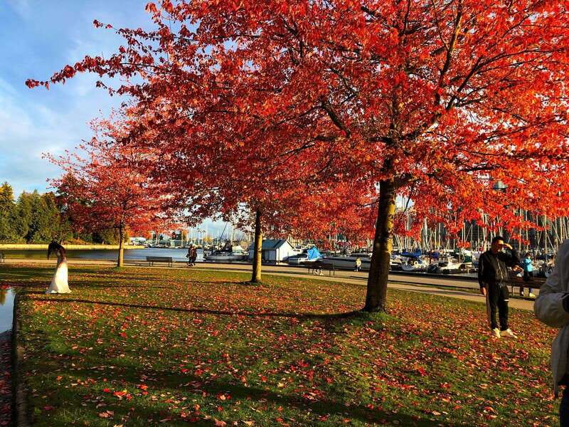 5 Days of Adventure in Vancouver Activities-Only Tour - Iconic Vancouver Landmarks: Capilano Suspension Bridge and Grouse Mountain