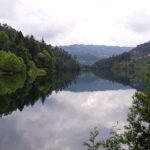 5 Days to the North of Portugal Private Tour - Exploring Porto’s vibrant food scene and historic sights