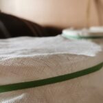 5-Hour Food and Wine Tasting in Modena - The Four-Course Farmhouse Dinner Experience