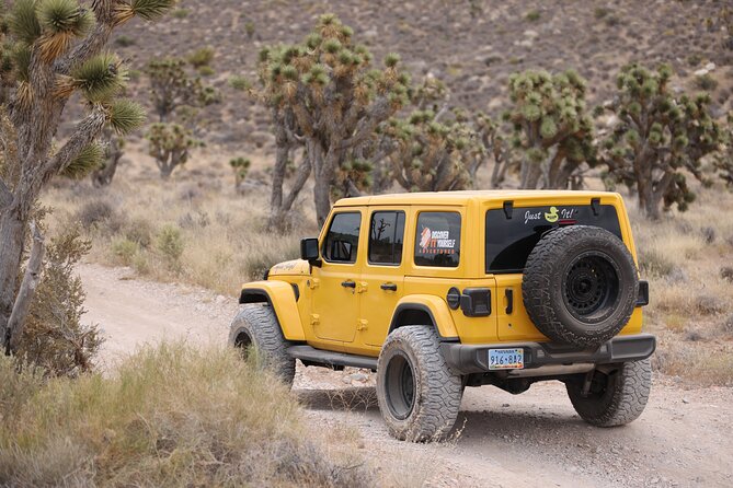 5 Hour Las Vegas Off-Road Secrets: Self Drive Jeep Adventure - Navigating Cottonwood Valley Road: The Heart of the Off-Road Experience