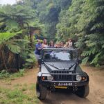 5 Hours Private Tour to Santana, Thatched houses - Scenic Viewpoints Highlighting Madeira’s Northeast Coast