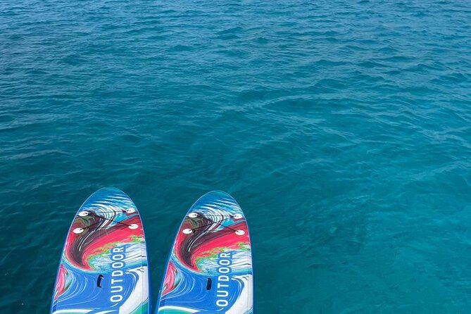 5 Hours Sunset Tour to Delos and Rhenia Island with Dinner - Starting from Mykonos Port with a Scenic Sunset Sail