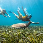 5-in-1 Cancun Snorkeling: Turtles, Reef, Musa, Shipwreck, Cenote - The Cenote Snorkeling Experience in Yucatan