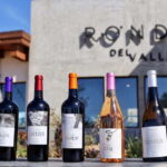 5 wines Tastings with Tour in Valle de Guadalupe Winery - Exploring the Underground Cellar and Winemaking Facilities