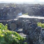 500 years of vines and 300,000 years of island, an infinite story - Visiting the UNESCO-Listed Vineyard and Vineyard in Production