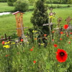 5,5 Hour Shared Tour to Hill of Crosses from Riga - Comfortable Transport from Riga to the Hill of Crosses