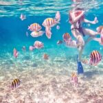 5H Private 44' Catamaran All-Inclusive - Tulum & Playa del Carmen - Gourmet Lunch and Refreshing Beverages on Deck