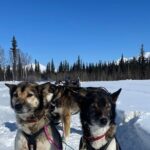 6 Days Brooks Range Expedition Private Tour - Overnight Stays in Authentic Trapper Cabins