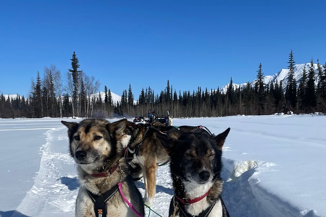 6 Days Brooks Range Expedition Private Tour - Overnight Stays in Authentic Trapper Cabins