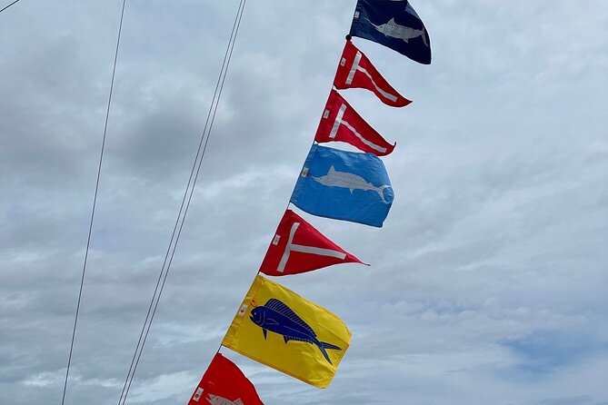 6 Hour Fishing Charter - The Scenic Setting of Big Island’s Coastal Waters