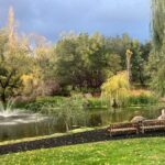 6 Hour Napa or Sonoma Valley Wine Tour by Private SUV - Wineries and Scenic Stops in Napa Valley