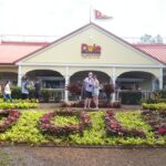 6-Hour Private Customized Luxury Convertible Tour of Oahu's North Shore - Discover the North Shore Highlights in a Luxury Convertible