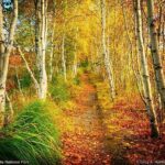 6 Hour Private Tour: Acadia National Park, Fjord & Lobster Lunch - Exploring Glacial Lakes and Coastal Vistas
