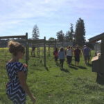 6-Hour Victoria to Cowichan Wine Tour - Behind-the-Scenes at Unsworth Winery