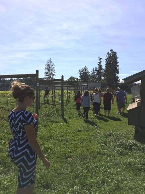 6-Hour Victoria to Cowichan Wine Tour - Behind-the-Scenes at Unsworth Winery
