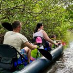 6-Hr Tropical Mangroves, Coastal River and Ocean Wildlife Watch - Exploring the Dense Mangrove Forests