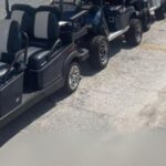 6-Seater Golf Cart Rental in Ormond Beach, FL - Features of the E-Z-GO 6-Seater Golf Cart