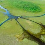 60 min. Everglades Airboat ride & pick-up ,small group +pro guide - Starting Point: Miami Hotel Pickup and Personalized Experience