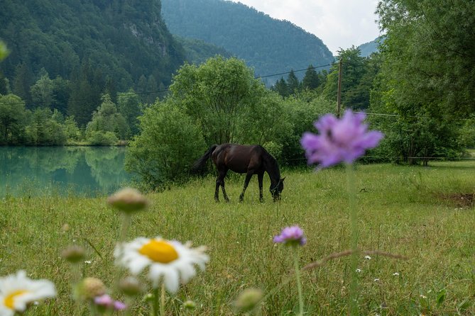 7 Alpine Wonders- Day Tour Bled, Soca valley, Slovenia - Discovering Pericnik Waterfall: Slovenia’s Highest Cascades