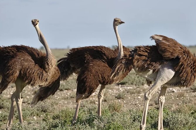 7-Day Garden Route Safari Adventure from Cape Town - From Wilderness to Mossel Bay: Scenic Drive Beginnings