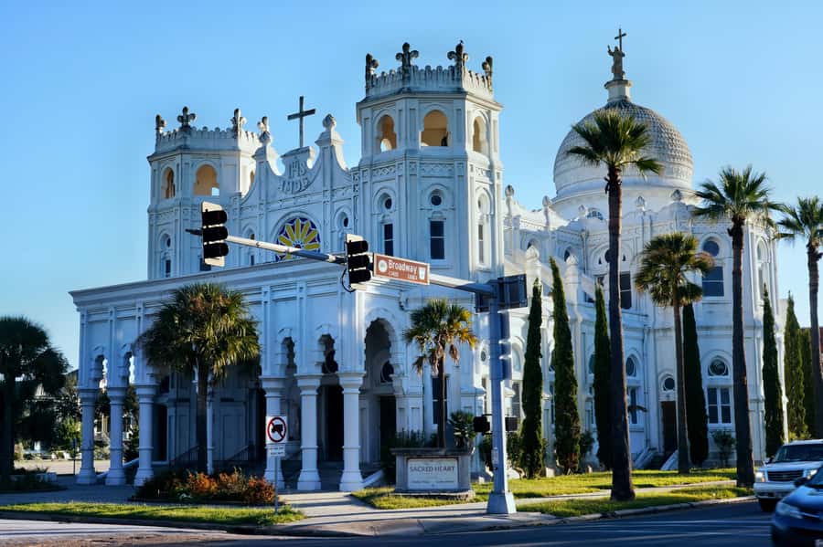 7-Hour Best Of Houston and Galveston Tour - Starting Point and Tour Structure