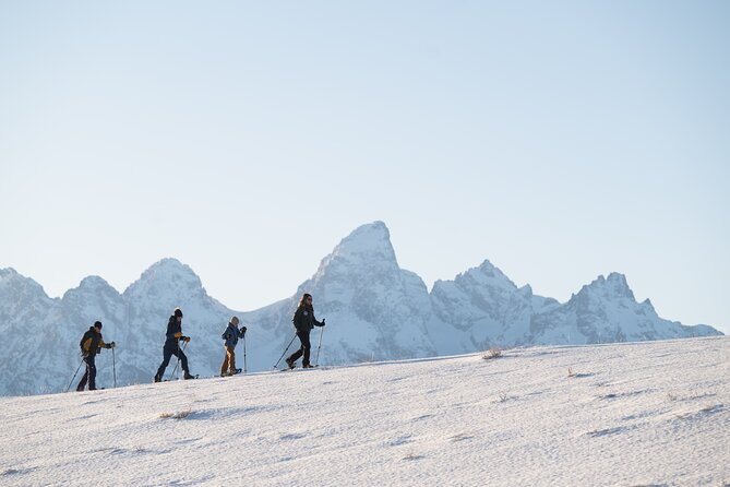 8 Hour Combination Snowshoe & Wildlife Viewing in Grand Teton National Park - Snowshoeing in Grand Teton’s Backcountry