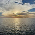 90 Minute Backwater Eco & History Tour - Wildlife Encounters: Dolphins, Manatees, and More