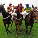 A Day At The Races & the Horse Lovers Tour - Exploring the Curragh Racecourse and Meeting a Jockey
