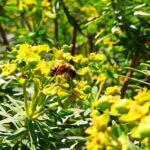 A hike to the Devil's Saddle - Guided Tour Led by a Knowledgeable Local