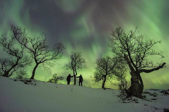 A Quest to find the Northern Lights, Tromsø (small group size) - Starting from Tromsø’s Historic City Center