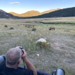A Ruttin' Good Time - How the Tour Takes You to the Best Elk Viewing Spots