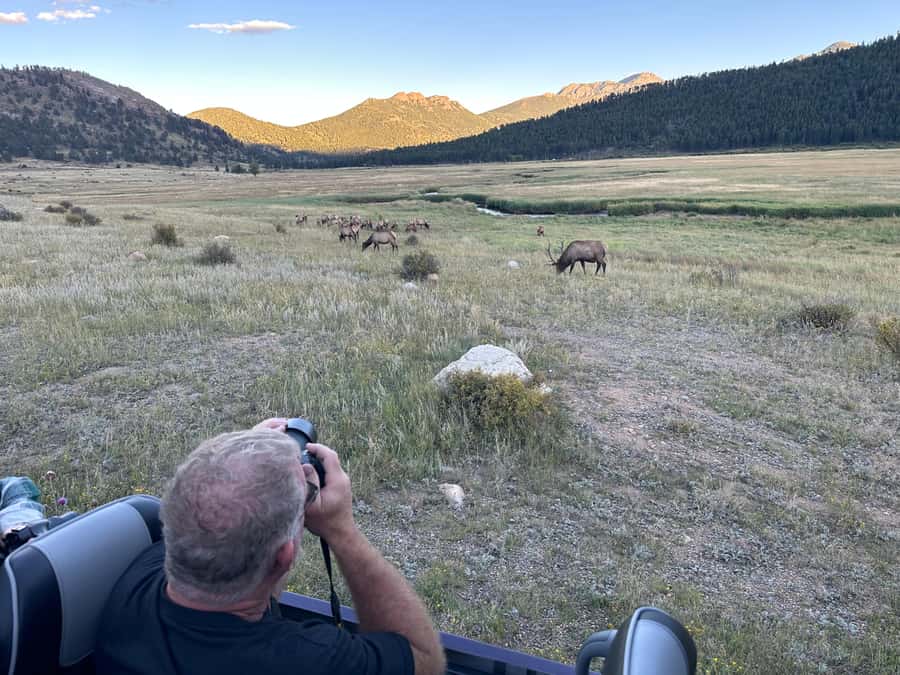 A Ruttin' Good Time - How the Tour Takes You to the Best Elk Viewing Spots