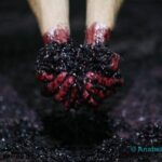 A trip through the Vinhos Verdes of the Basto Region - A Private Tour Focused on Basto Grape Varieties