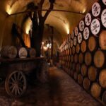 A unique tour! Visiting Hacienda Casa herradura From Guadalajara - Exploring Downtown Tequila: Landmarks and Local Shops