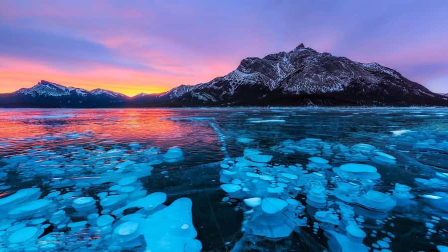 Abraham IceBubble, Peyto, Bow Lake with Snowshoeing& Icewalk - Peyto Lakes Wolf-Shaped Glacier View