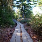 Acadia Full Day Private Tour and Hike - Thunder Hole and the Ocean Path Walk