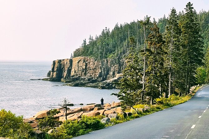 Acadia National Park Tour Sea to Summit - Starting Point and Tour Logistics in Bar Harbor