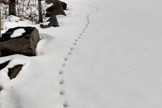 Acadia National Park Winter Wonderland Private Driving Tour - Visiting Bass Harbor Head Lighthouse and Surrounding Trails