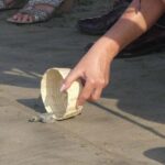 -Acapulco: 6hr City Tour & Turtle Release & High Diver Show - Starting Point and Transportation Logistics in Acapulco